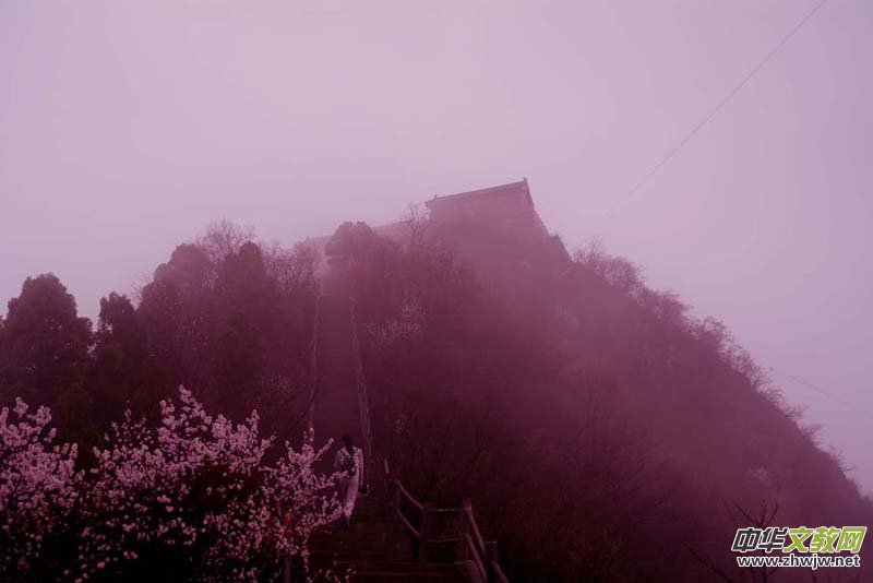 ���F�е�Ԋ�����_ɽ����Ц���zӰ��Ԋ