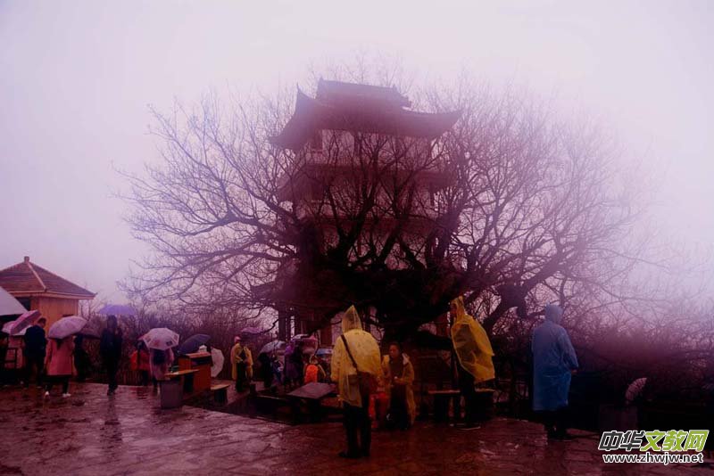 ���F�е�Ԋ�����_ɽ����Ц���zӰ��Ԋ