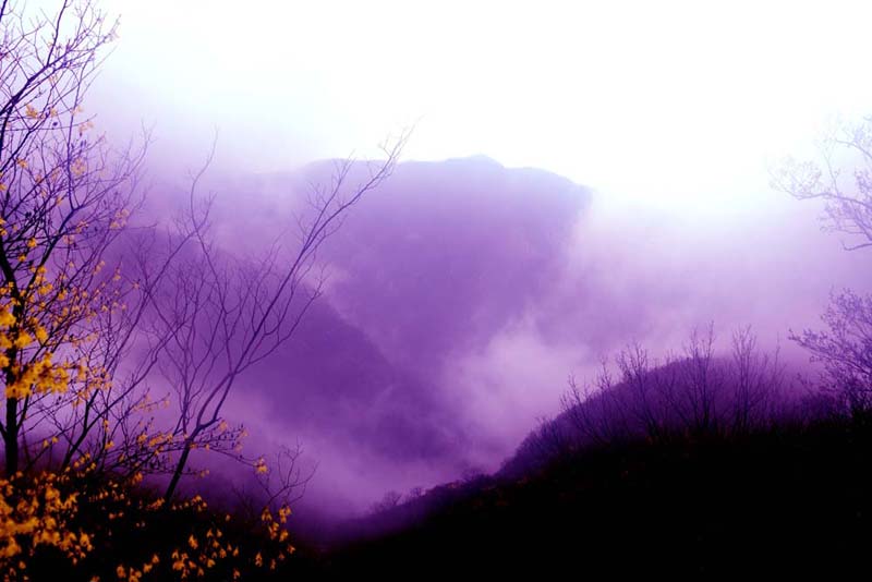 ���F�е�Ԋ�����_ɽ����Ц���zӰ��Ԋ