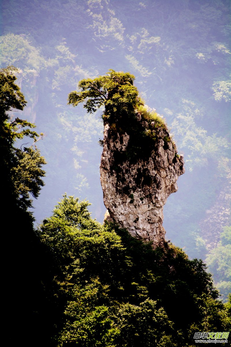 Ԋ(sh��)��(hu��)��ç�X�L(f��ng)��zӰ��������(gu��)��Ʒ