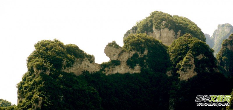 Ԋ(sh��)��(hu��)��ç�X�L(f��ng)��zӰ��������(gu��)��Ʒ