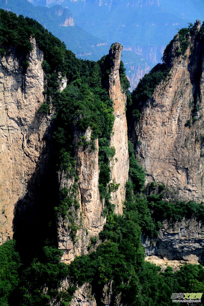 Ԋ(sh��)��(hu��)��ç�X�L(f��ng)��zӰ��������(gu��)��Ʒ