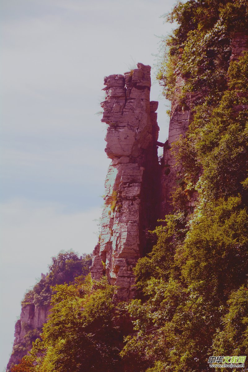 Ԋ(sh��)��(hu��)��ç�X�L(f��ng)��zӰ��������(gu��)��Ʒ