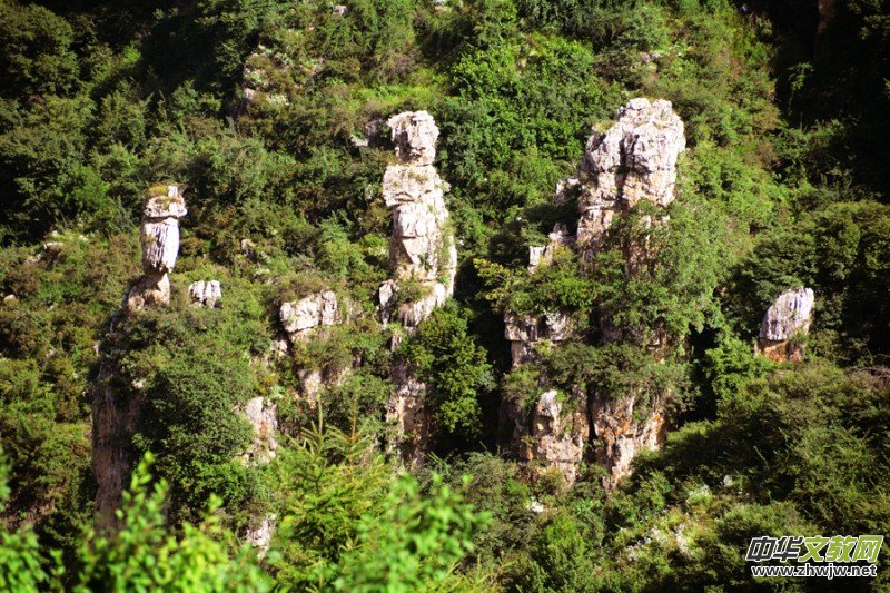 Ԋ(sh��)��(hu��)��ç�X�L(f��ng)��zӰ��������(gu��)��Ʒ