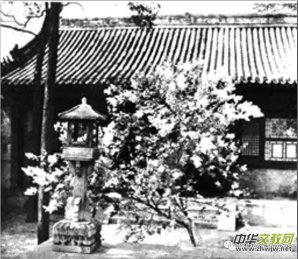 ������Ԋ������־Ħ���ֻ���̩��?du��)������ˣ���߀�ڵ�ʲô��