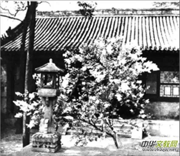 ������Ԋ��(hu��)����־Ħ���ֻ���̩��?du��)������ˣ���߀�ڵ�ʲô��