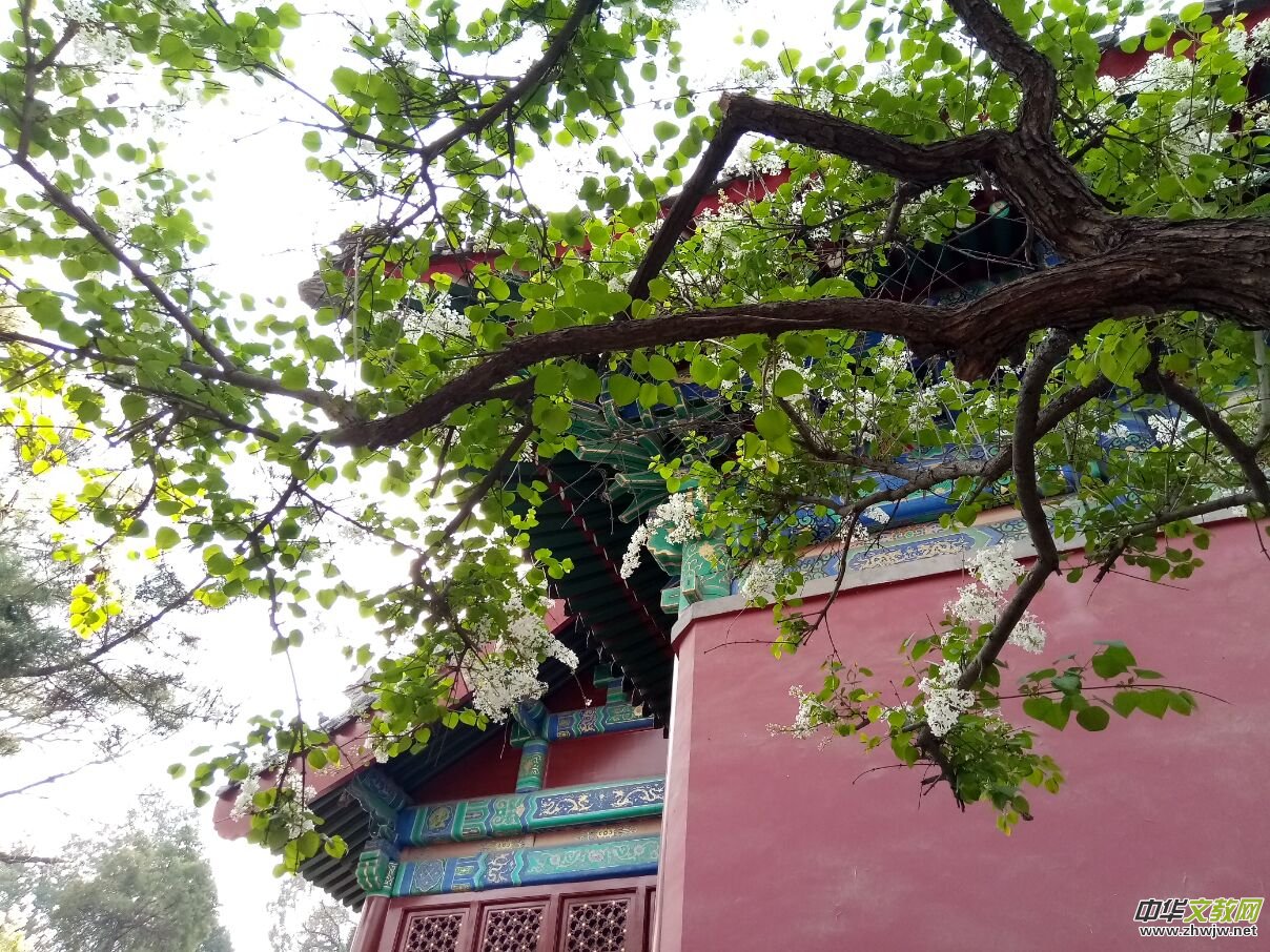 ������Ԋ��(hu��)����־Ħ���ֻ���̩��?du��)������ˣ���߀�ڵ�ʲô��