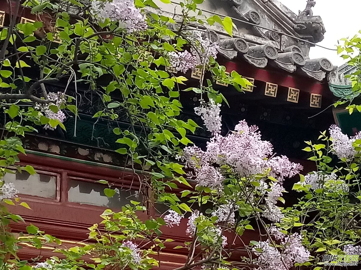 ������Ԋ��(hu��)����־Ħ���ֻ���̩��?du��)������ˣ���߀�ڵ�ʲô��