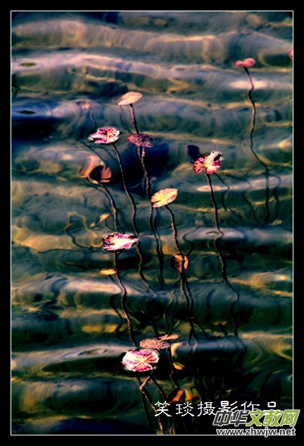 �ݺɪq�и߹�(ji��)�ڡ���Ц���zӰ��Ʒ