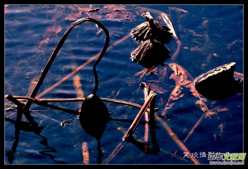 �ݺɪq�и߹�(ji��)�ڡ���Ц���zӰ��Ʒ