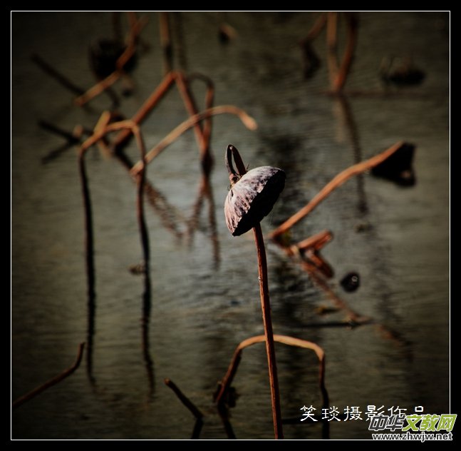 �ݺɪq�и߹�(ji��)�ڡ���Ц���zӰ��Ʒ