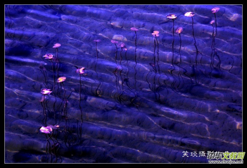 �ݺɪq�и߹�(ji��)�ڡ���Ц���zӰ��Ʒ