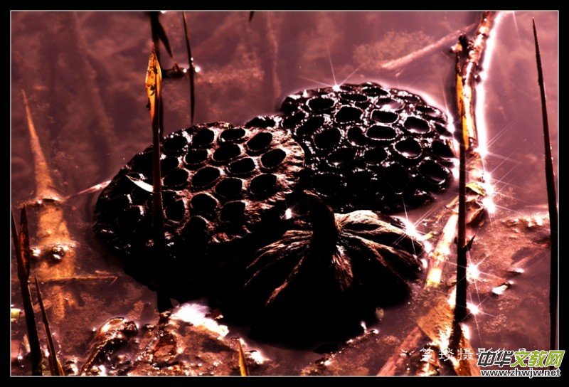 �ݺɪq�и߹�(ji��)�ڡ���Ц���zӰ��Ʒ