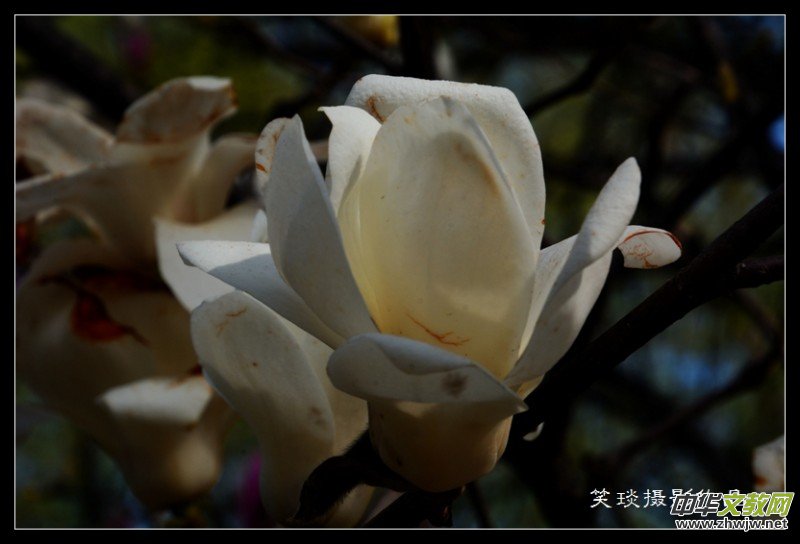 �ݺɪq�и߹�(ji��)�ڡ���Ц���zӰ��Ʒ