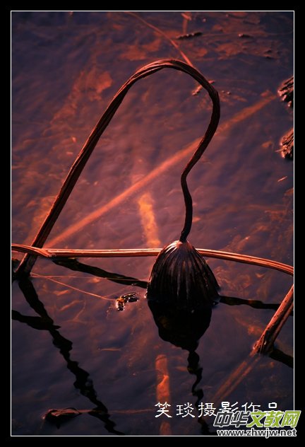 �ݺɪq�и߹�(ji��)�ڡ���Ц���zӰ��Ʒ