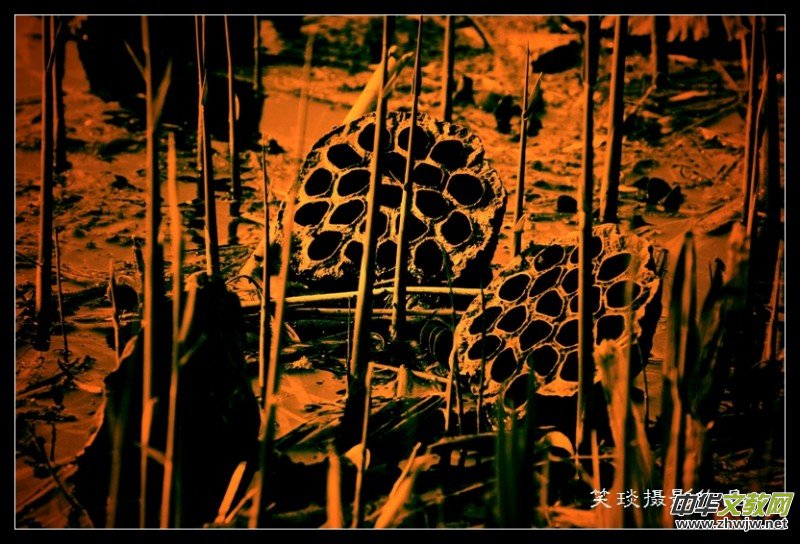 �ݺɪq�и߹�(ji��)�ڡ���Ц���zӰ��Ʒ