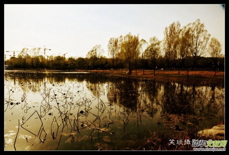 �ݺɪq�и߹�(ji��)�ڡ���Ц���zӰ��Ʒ