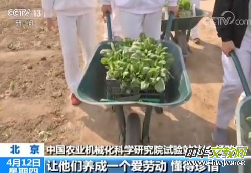 ��������Ӌ��3�f�ЌW���M�ЌW�r(n��ng)����