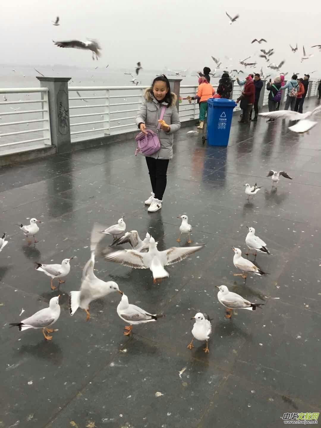 ����֮�ã����R�t���t