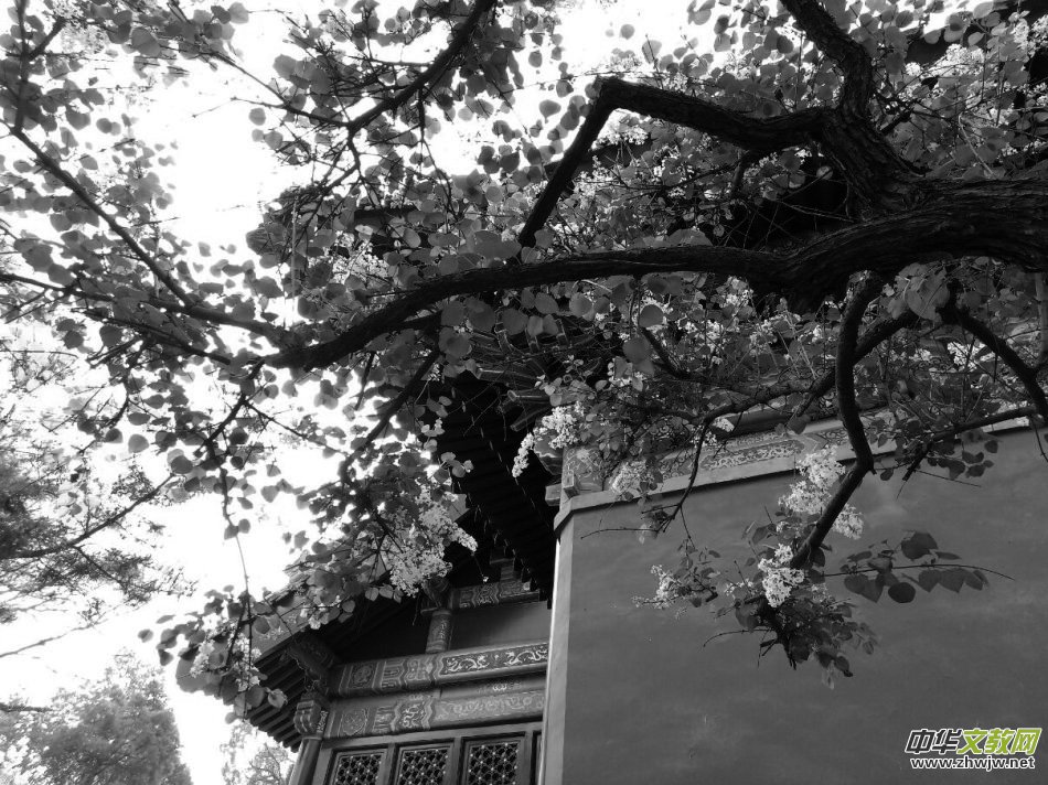 ����Ԋ�~����