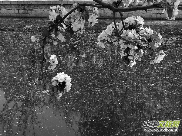 ����Ԋ�~����