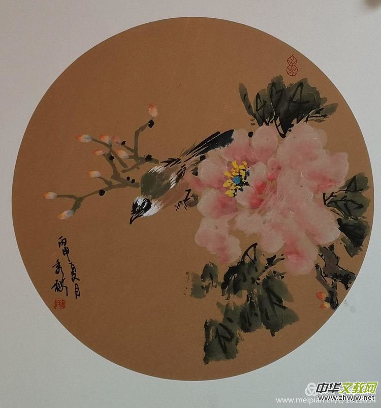 ���ҽ���÷СƷ�x