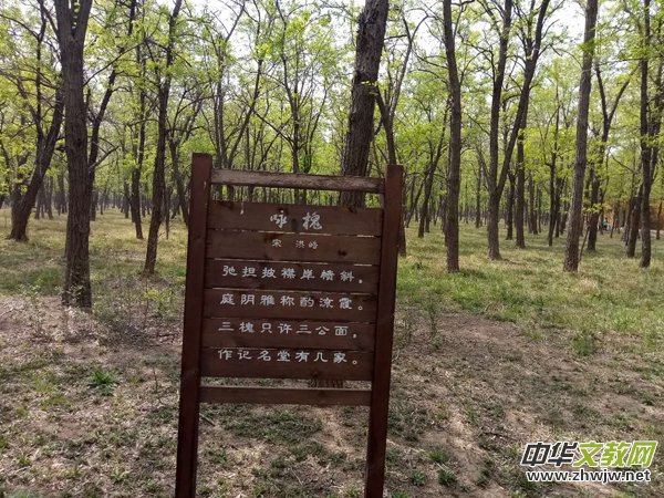 �Ի���ý������Ҋ�����u