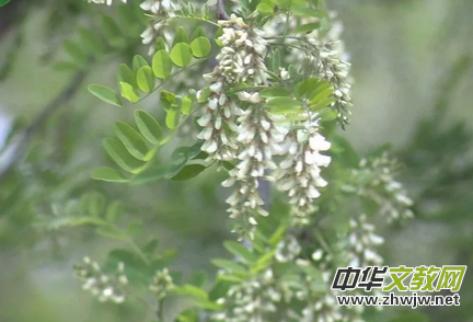 �Ի���ý�����󿯹������u����Ԓ�Ļ��d�(zh��n)