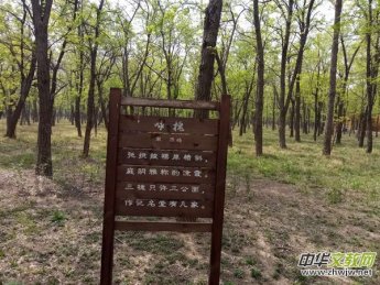 �Ի���ý�����(b��o)�󿯹������u����Ԓ�Ļ��d�(zh��n)