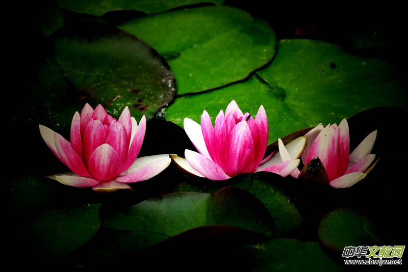 ��Ȼ���^ ������ء����ӑc��ˮ��