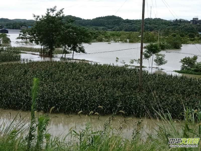 �挦(du��)��ʮ�겻�����(z��i)���d�(y��ng)�������铌�U(xi��n)�@����