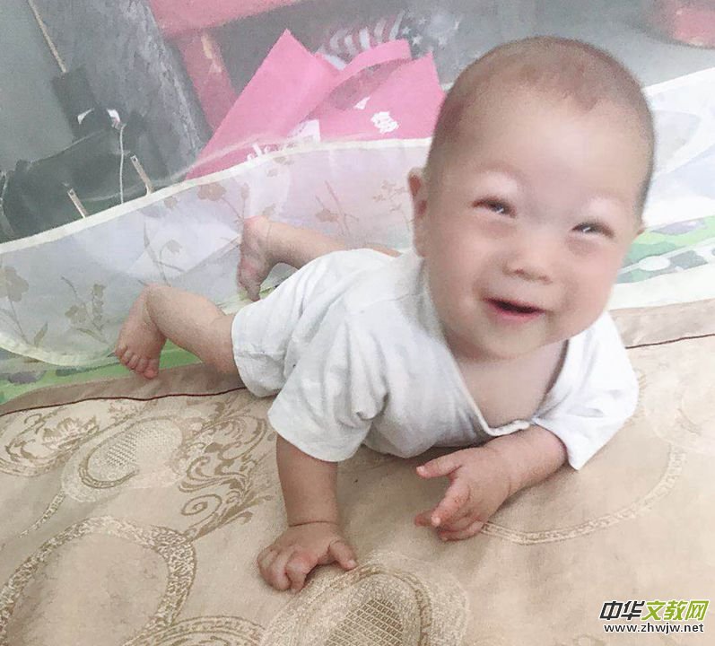 ���ޘsָ�����������՘s�������£�����