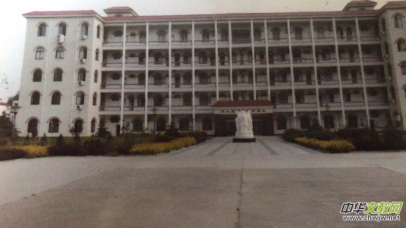 ���ޘsָ�����������՘s�������£�����