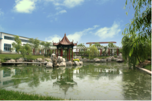 ɽ�|��ɽ���F(tu��n)42��ĸ(chu��ng)�°l(f��)չ֮·