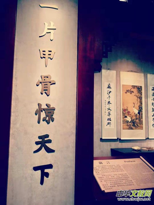 ���M(j��n)�Ŷ��������