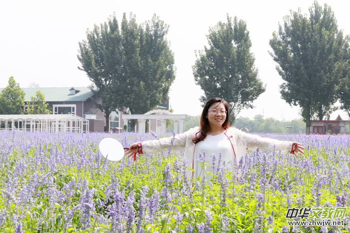 ����Ԋ�Ŀ����¡���2018���ᭇ���Ŀ��R