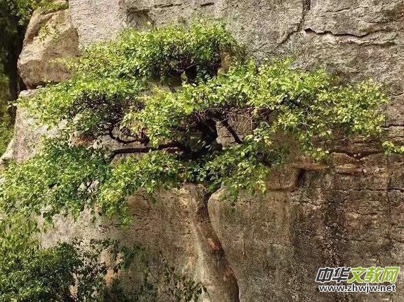 �B(t��i)�țQ�����\�����x���ͱ����ǿ��ᗗ�䡷