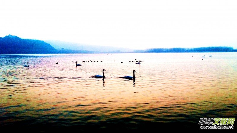 ��Խ��zӰ��Ʒ�x��