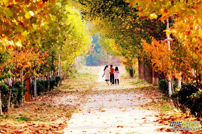 ��Խ��zӰ��Ʒ�x��