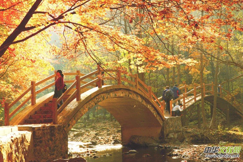 ��Խ��zӰ��Ʒ�x��