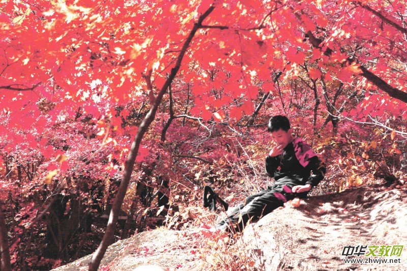 ��Խ��zӰ��Ʒ�x��