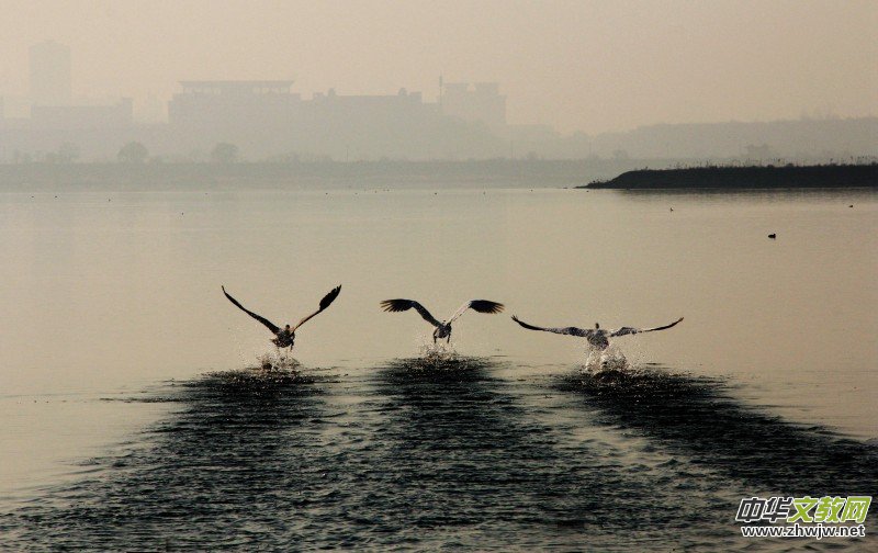 ��Խ��zӰ��Ʒ�x��