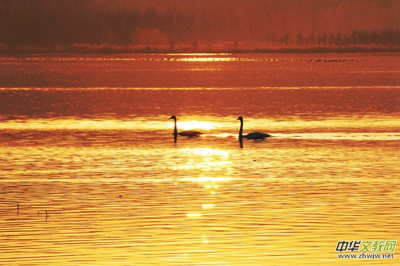 ��Խ��zӰ��Ʒ�x��