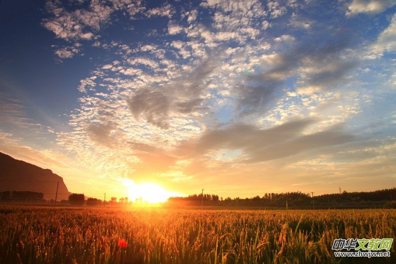 ������zӰ��Ʒ�x��