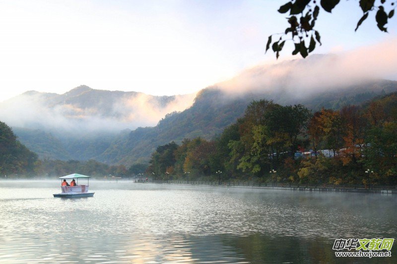 ������zӰ��Ʒ�x��