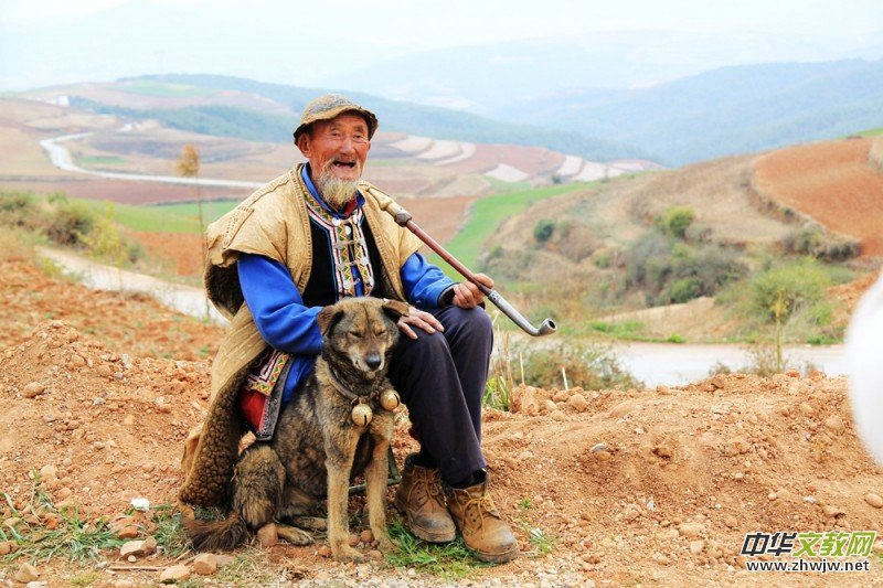 ������zӰ��Ʒ�x��