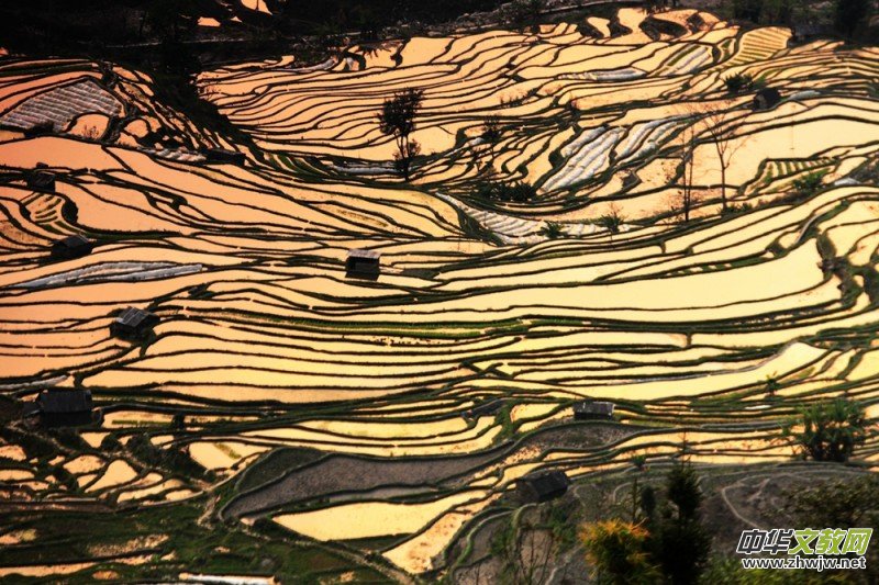 ������zӰ��Ʒ�x��