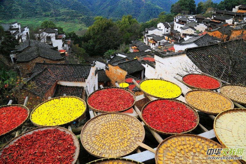 ������zӰ��Ʒ�x��