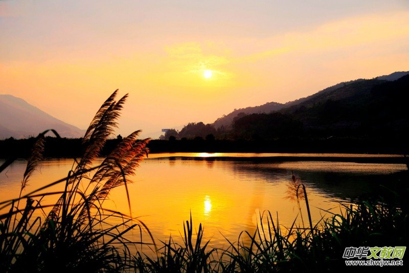 ������zӰ��Ʒ�x��