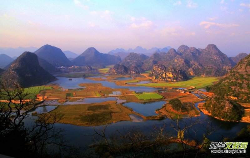 ������zӰ��Ʒ�x��